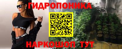 ешки Вышний Волочёк