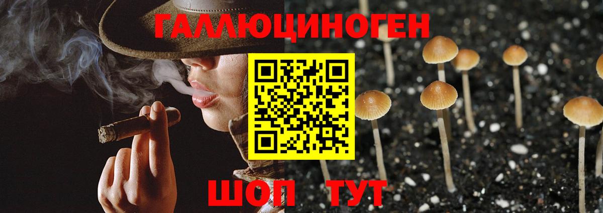 Сочи  Галлюциногенные грибы Cubensis  Галлюциногенные грибы Psilocybe  Вход с VPN 