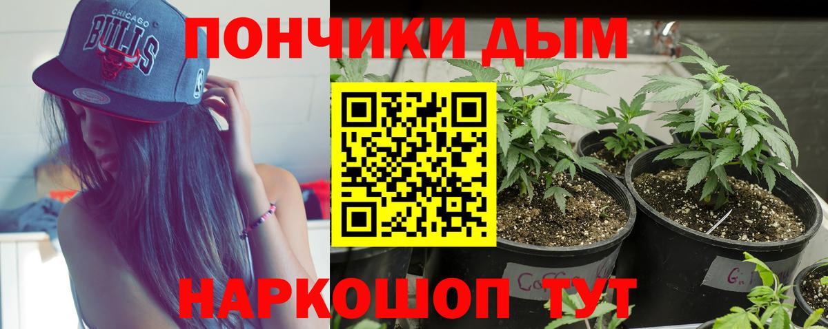 Каннабис гибрид  Вход с VPN  Канабис VHQ  Сочи  Конопля план 